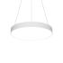 LED-Pendelleuchte SKILP310.830.1DALIws
