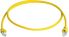 Patchkabel 100028076