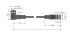 Aktuator-/Sensorleitung WKC4T-1-RSC4T/TEL