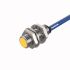 Sensor BI2-G12-Y2X 7M