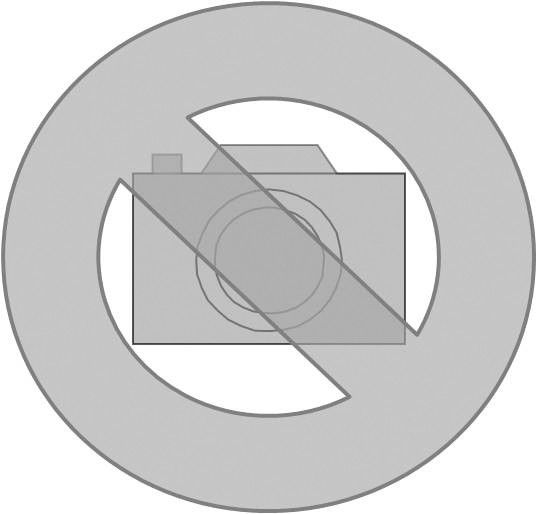 Steigetrassendeckel STD 200.400