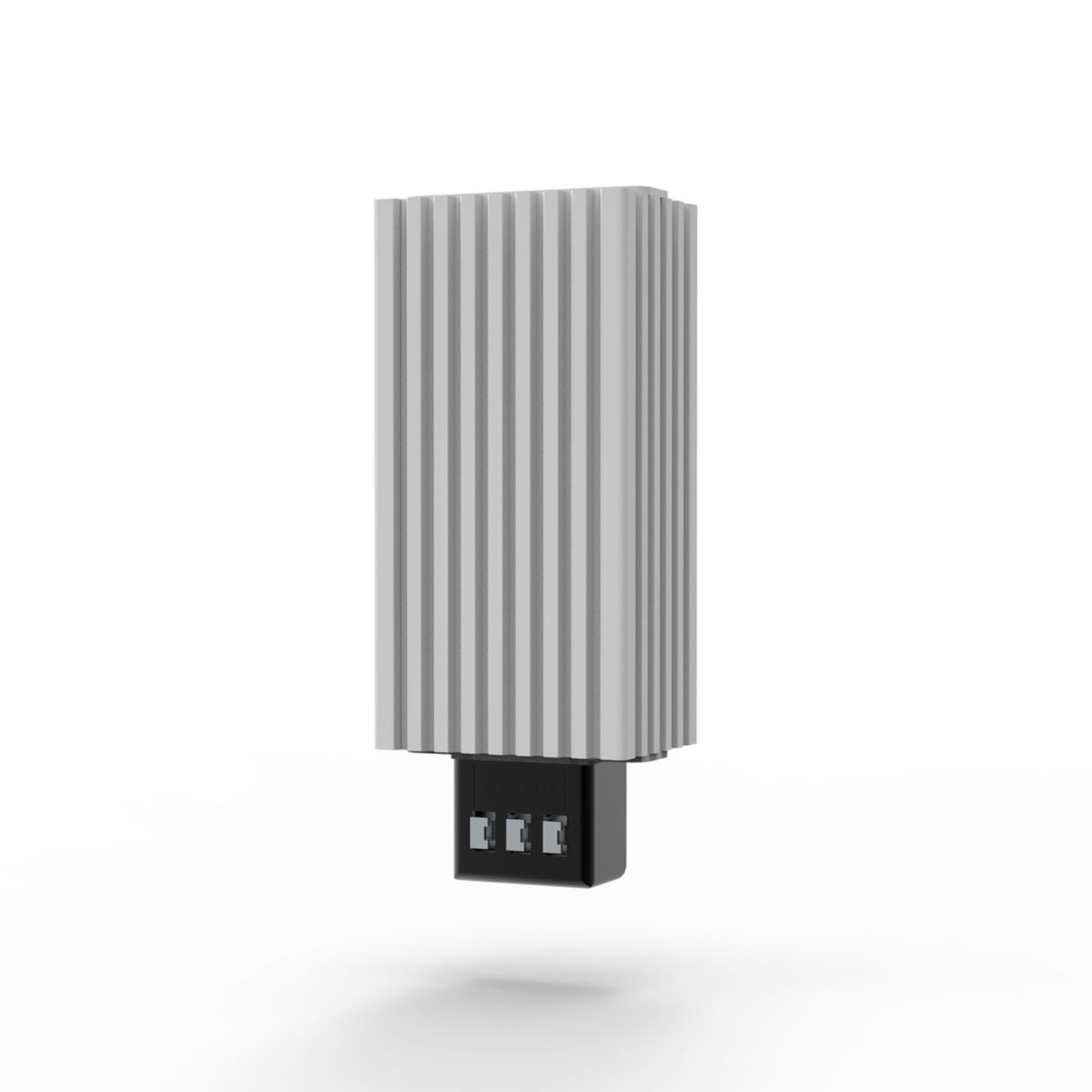 Heizung 100W EHG100