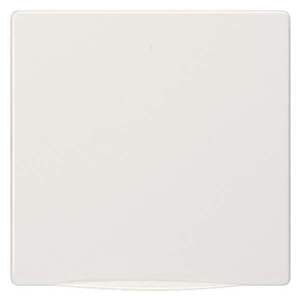 Abdeckplatte 5TG1340