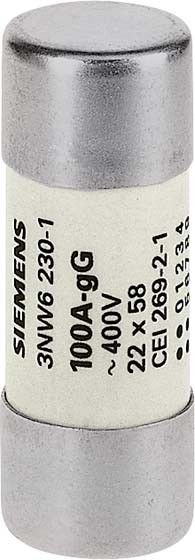 Zylindersicherung 3NW6230-1