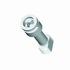 Deckelschraube TK DS-ku/g/T40