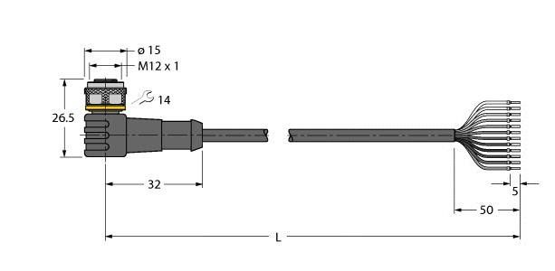 Anschlussleitung WKC12T-5/TXL