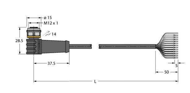 Anschlussleitung WKS12T-10/TXL