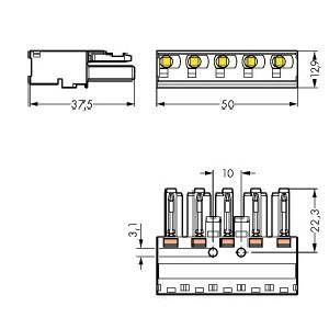 Buchse 770-405