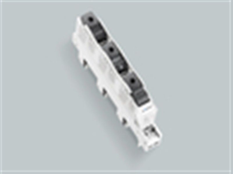 Reiter-Sicherungs-Schalter 31525